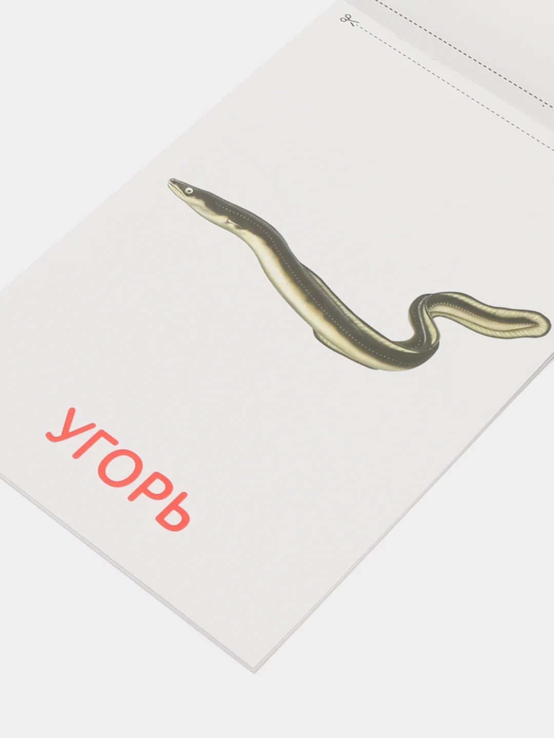 Книги "Карточки Домана. Окружающий мир"