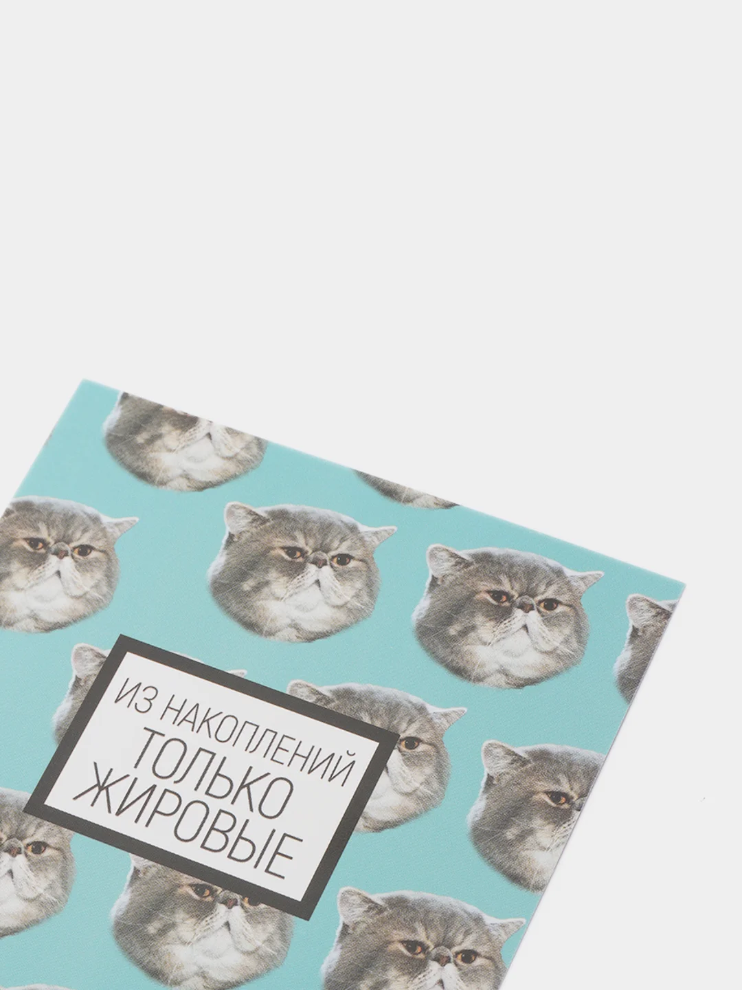 Коралловый открытка-инстаграм "Подари", 8,8 х 10,7 см, 42 вида