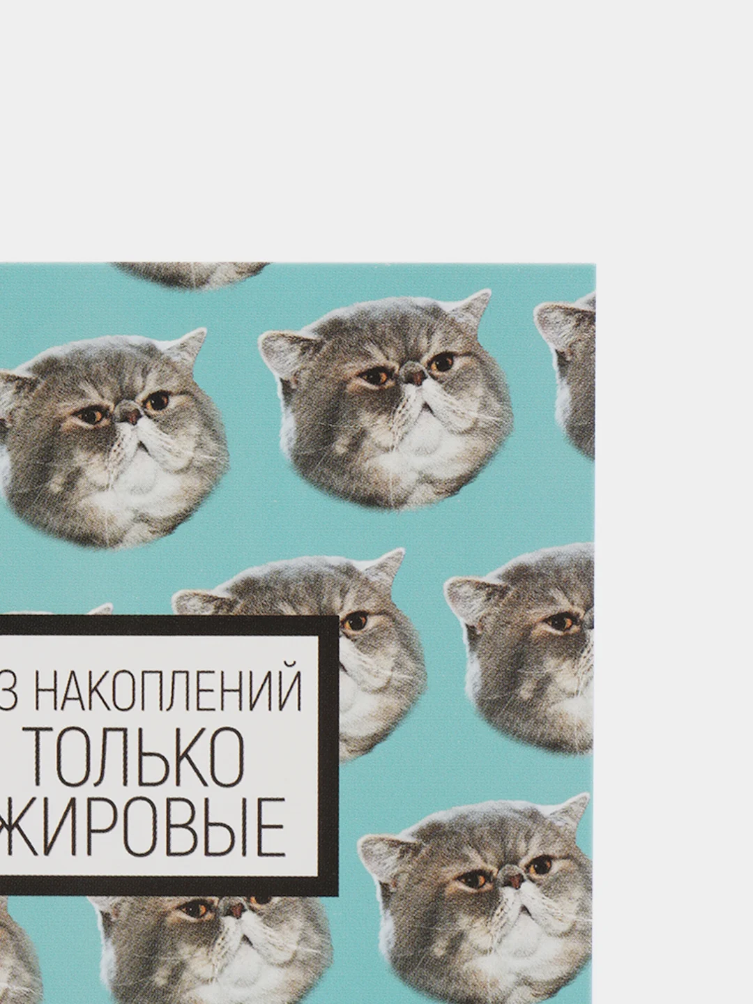 Коралловый открытка-инстаграм "Подари", 8,8 х 10,7 см, 42 вида