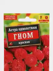 Семена Астра "Гном", красная
