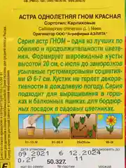 Семена Астра "Гном", красная