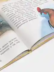Книга для детей Бременские музыканты, Х.К. Андерсен, Б. Гримм