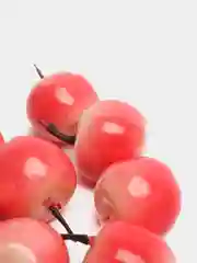 Алый искусственные фрукты и овощи. Размер 4 см. Упаковка 10 штук