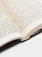 Древний. Предыстория. Книга седьмая. Опасная фаза. Тармашев С.С