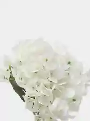 Белый гортензия искусственные цветы