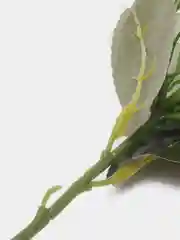 Белый гортензия искусственные цветы