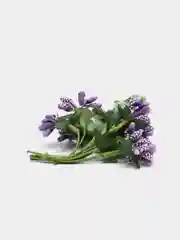 Сиреневый тычинки с сахарными вставками. 12 штук