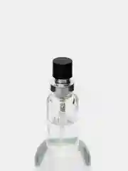 Туалетная вода для мужчин "ТО, ЧЕГО ХОЧЕТ МУЖЧИНА ABSOLUT PARFUM"
