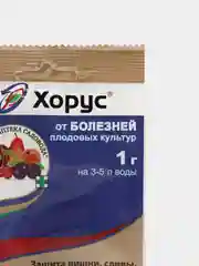 Препарат от основных болезней плодовых культур "Хорус", 1 г