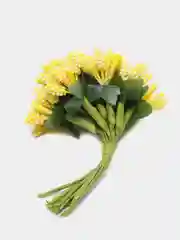 Горчичный тычинки с сахарными вставками. 12 штук