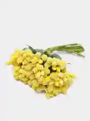 Горчичный тычинки с сахарными вставками. 12 штук