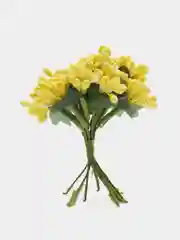 Горчичный тычинки с сахарными вставками. 12 штук