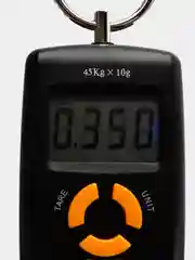 Весы-безмен электронный WH-A05, до 45 кг, с подсветкой и термометром