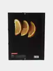 Папка на резинках BRAUBERG "FRESH ZONE", А4, цветная печать