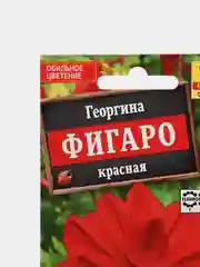 Семена Георгина "Фигаро" красная