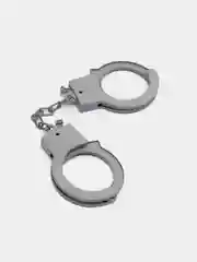Набор полицейского 25см