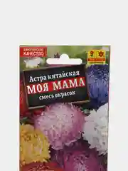 Семена Астра "Моя мама"