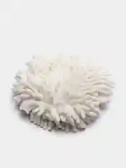 Тряпка из микрофибры