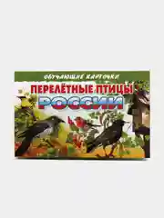 "Перелетные птицы России", обучающие карточки на картоне с познавательным текстом