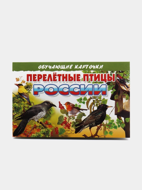 "Перелетные птицы России", обучающие карточки на картоне с познавательным текстом
