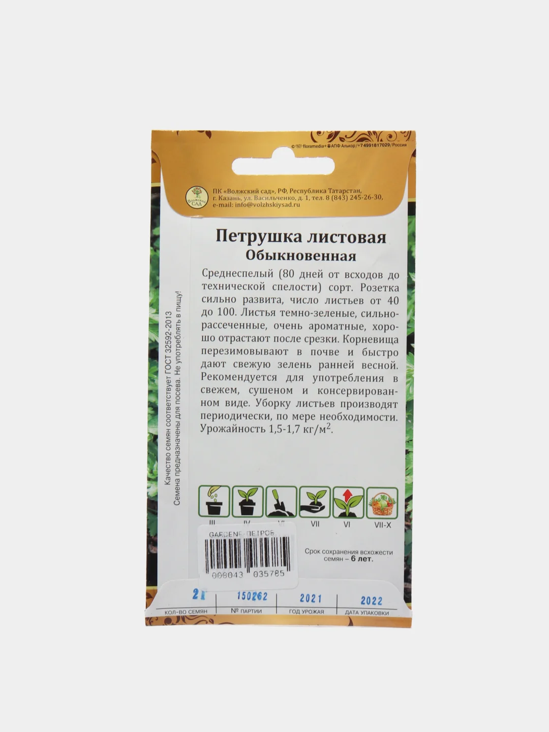 Петрушка обыкновенная листовая, семена