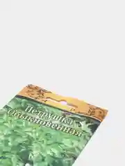 Петрушка обыкновенная листовая, семена