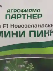 Семена цветов Партнер Дельфиниум "Мини пинк"