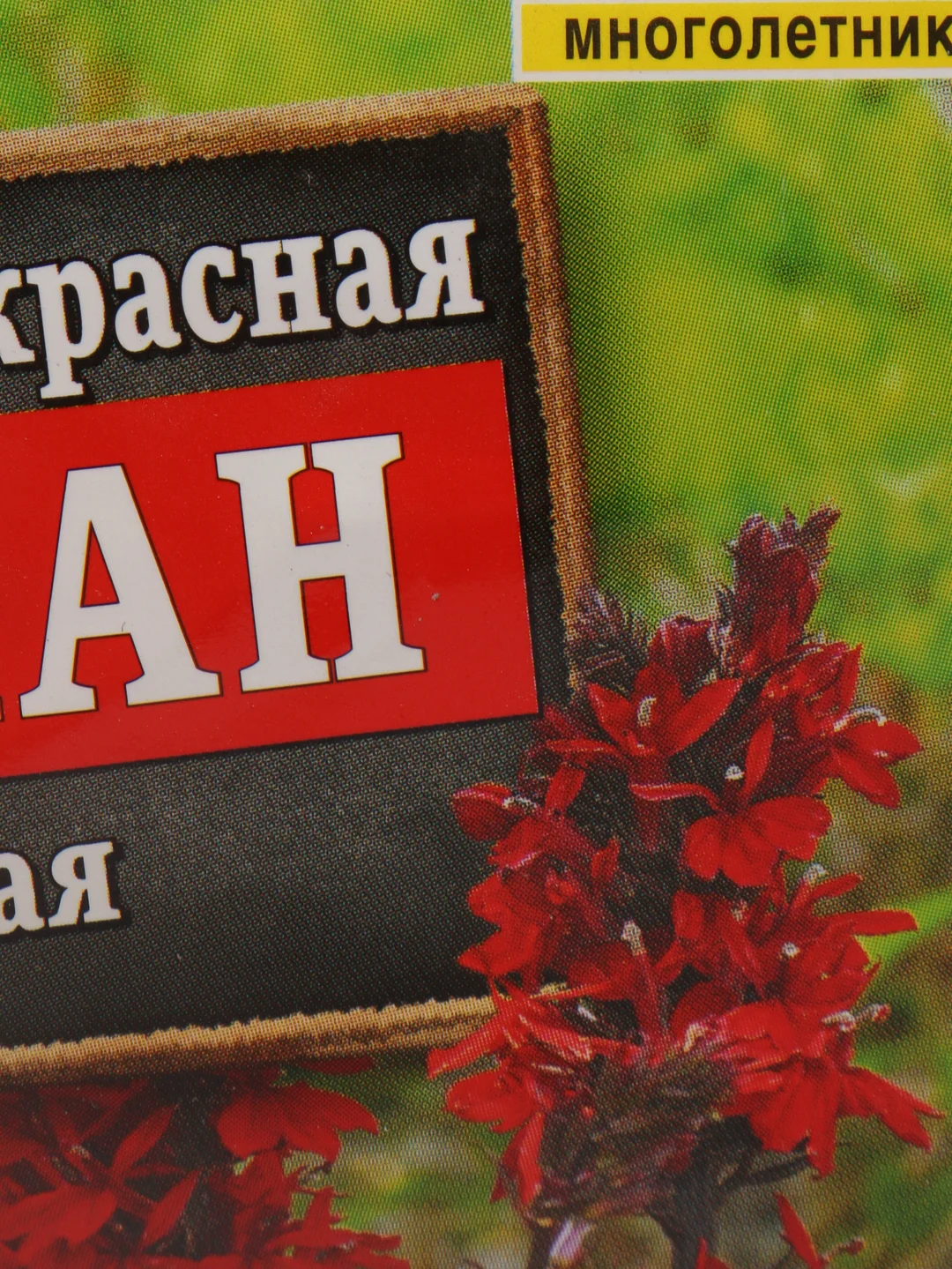 Семена Лобелия "Вулкан" красная