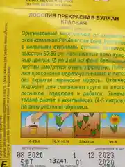 Семена Лобелия "Вулкан" красная