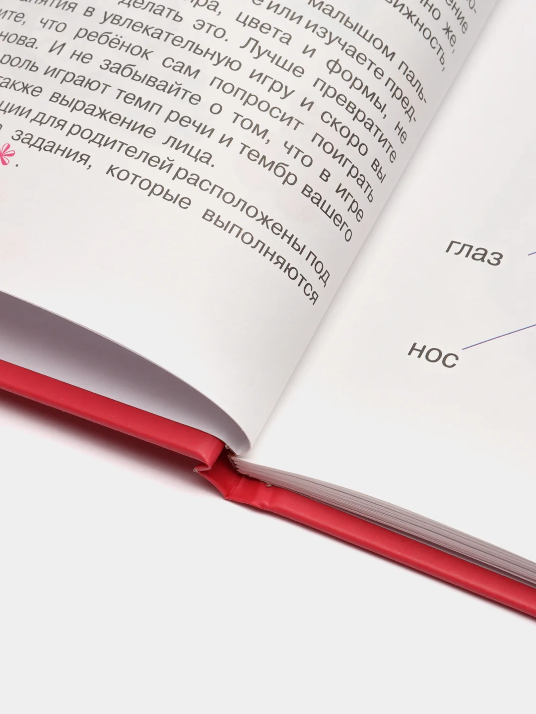Моя первая книга малыша от 0, энциклопедия детская, развивающая, учим новые слова