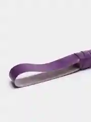 Фиолетовый плетка БДСМ