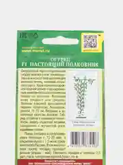 Огурец F1 "Настоящий полковник", семена