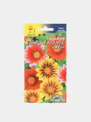 Гацания Солнце в клумбе (семена,цветы)