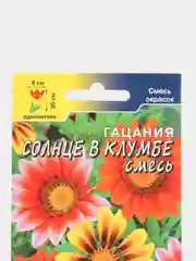 Гацания Солнце в клумбе (семена,цветы)