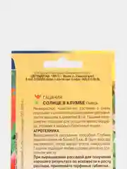 Гацания Солнце в клумбе (семена,цветы)