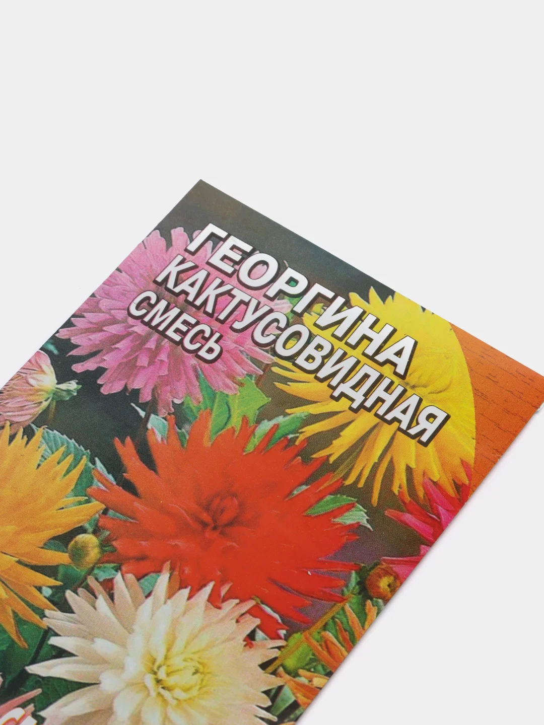 Семена цветов Георгина Кактусовидная смесь 0,1 г