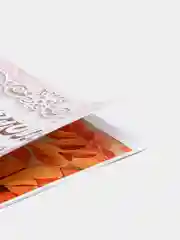 Набор для изготовления картины в технике папертоль "Белый голубь". ЛеКо