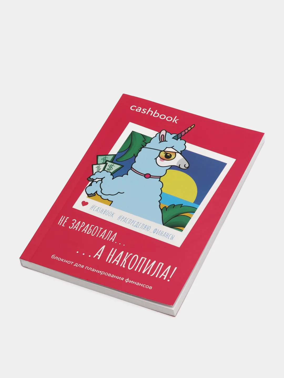 Фуксия умный блокнот CashBook, 4 вида