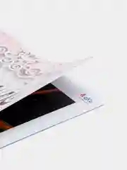 Набор для творчества в технике папертоль. Изготовление объемной картины Попугай. ЛеКо