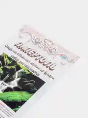 Набор для изготовления картины в технике папертоль ЛеКо "Водопад"