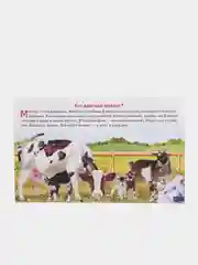 Как получается молоко.  Обучающие карточки на картоне с познавательным текстом