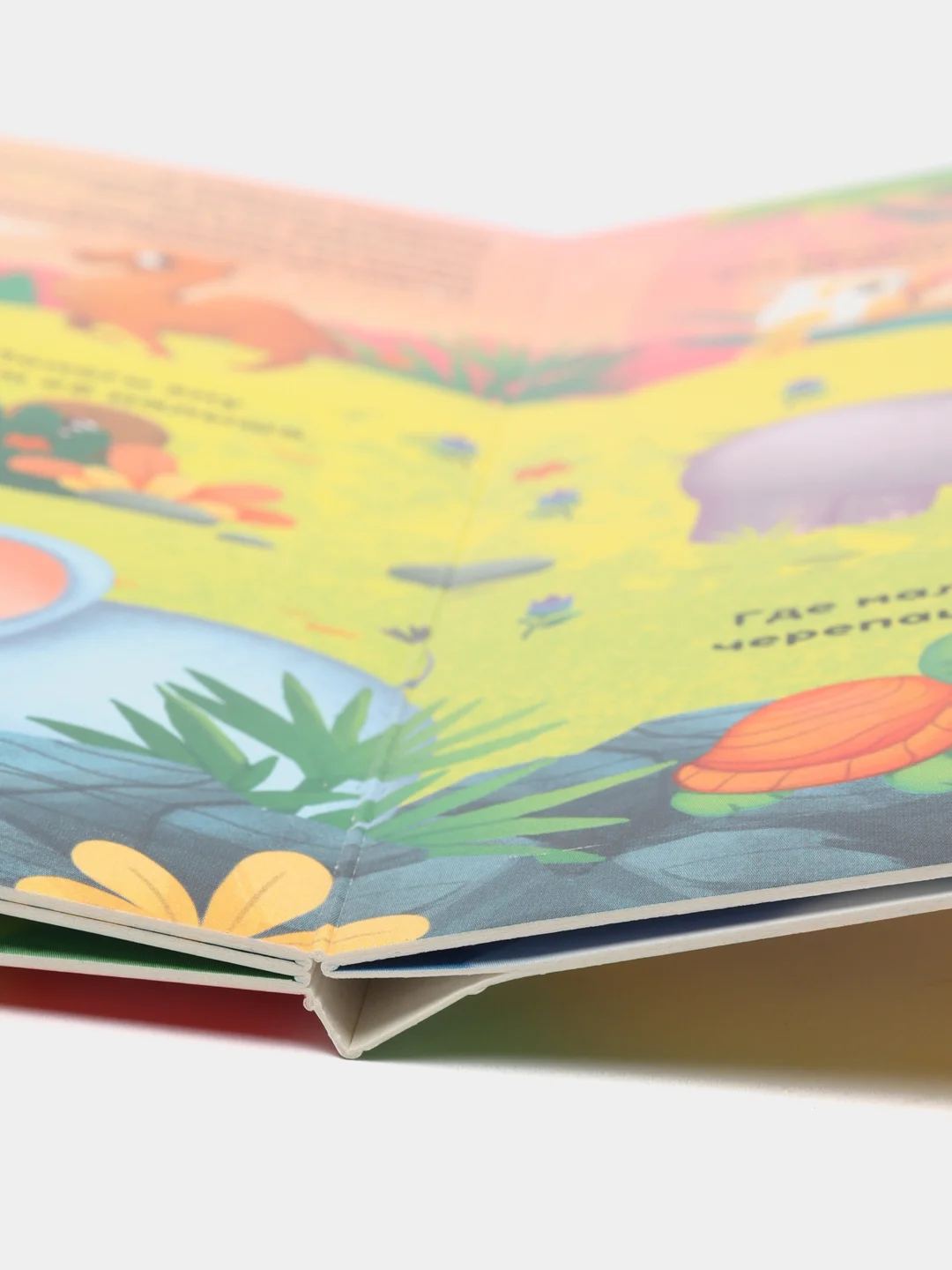 Книги картонные, с окошками, 4 темы