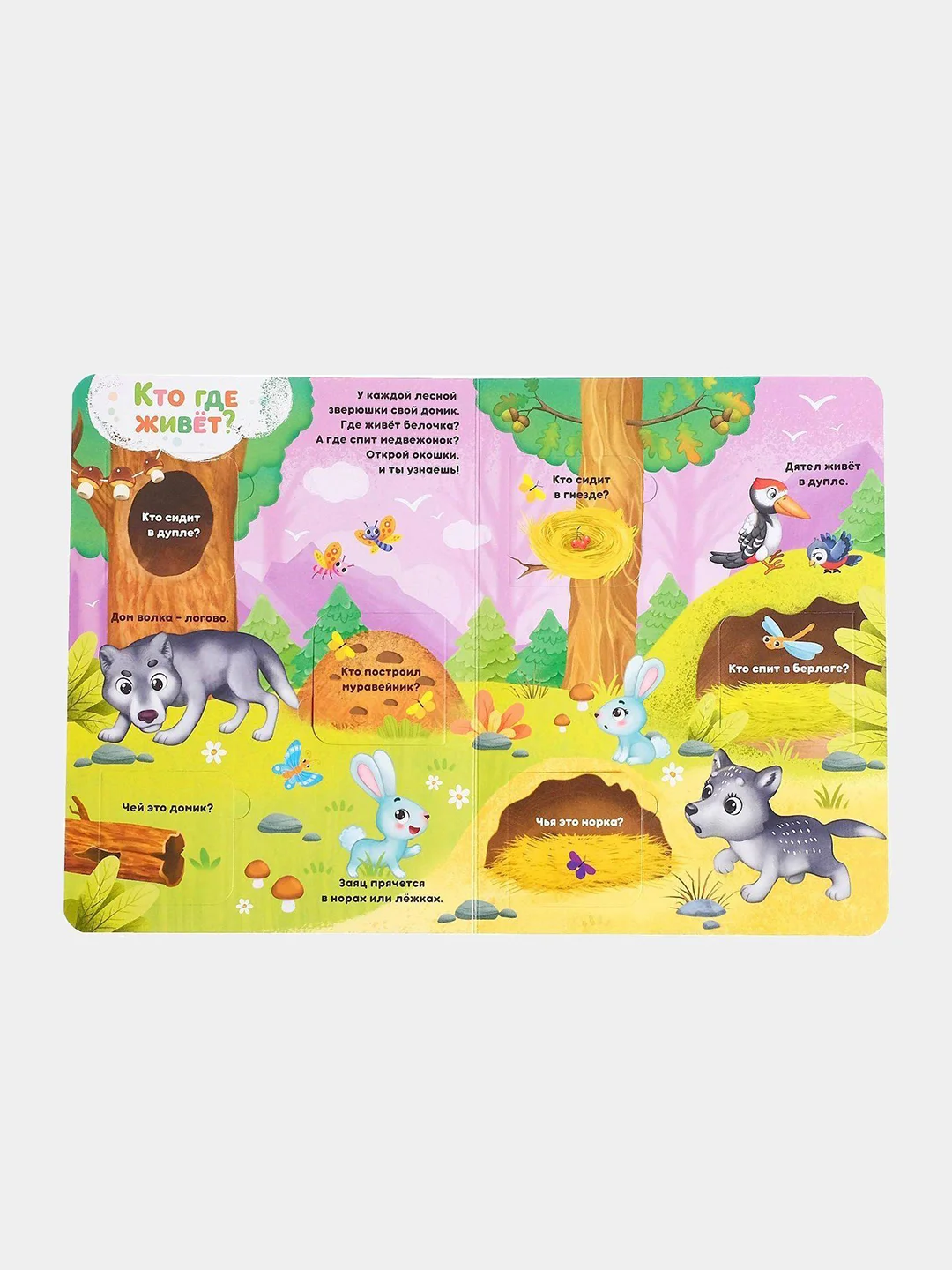 Книги картонные, с окошками, 4 темы