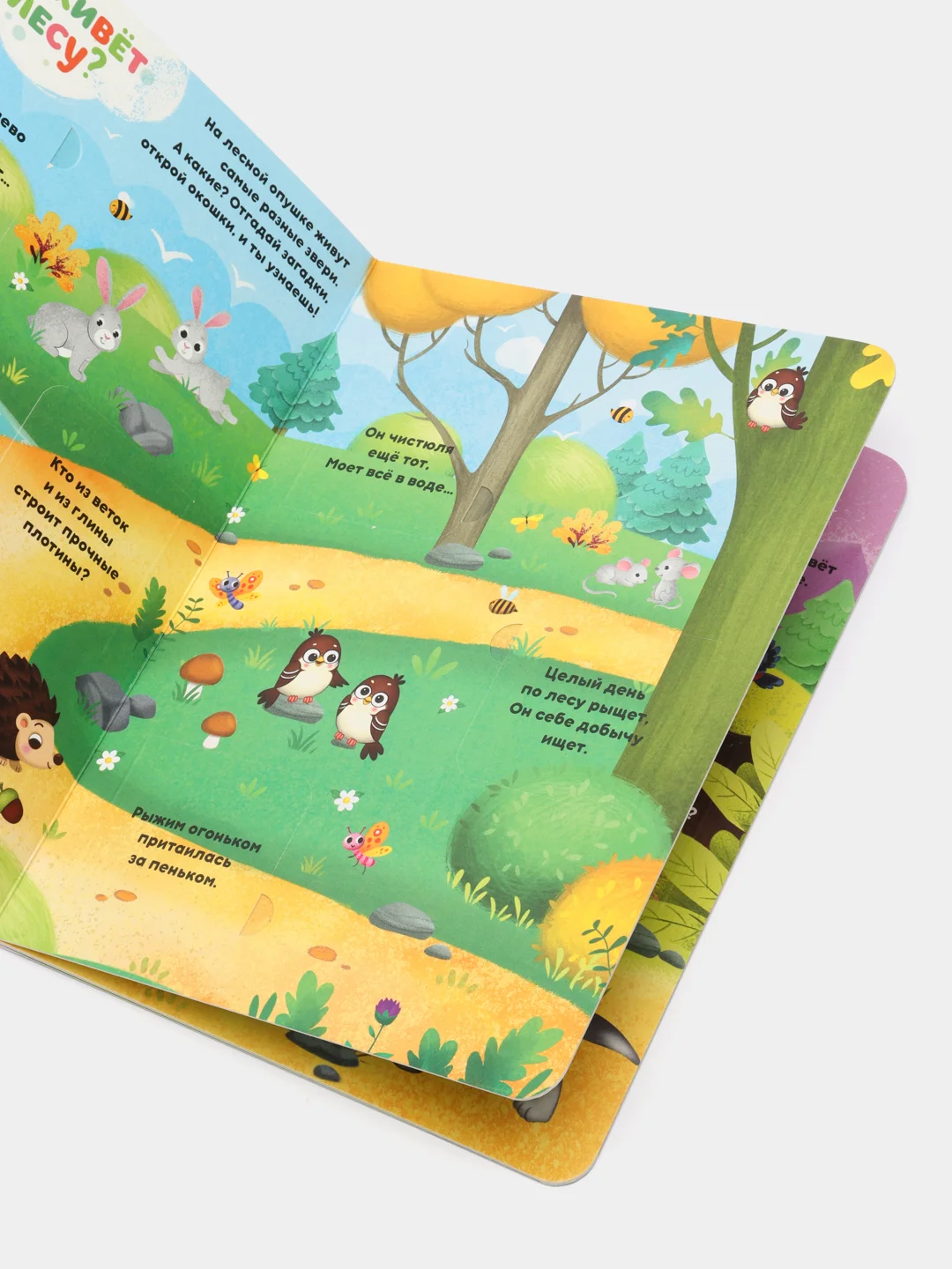 Книги картонные, с окошками, 4 темы