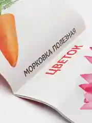 Коричневый книги развивающие "Растём вместе" по типу Г. Домана