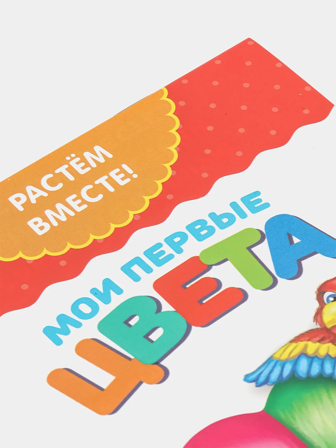 Желтый книги развивающие "Растём вместе" по типу Г. Домана