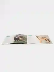 Обучающие книги "Про всё на свете" (Окружающий мир)
