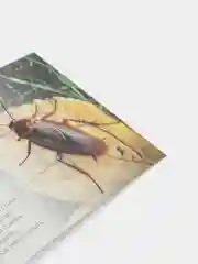 Обучающие книги "Про всё на свете" (Окружающий мир)