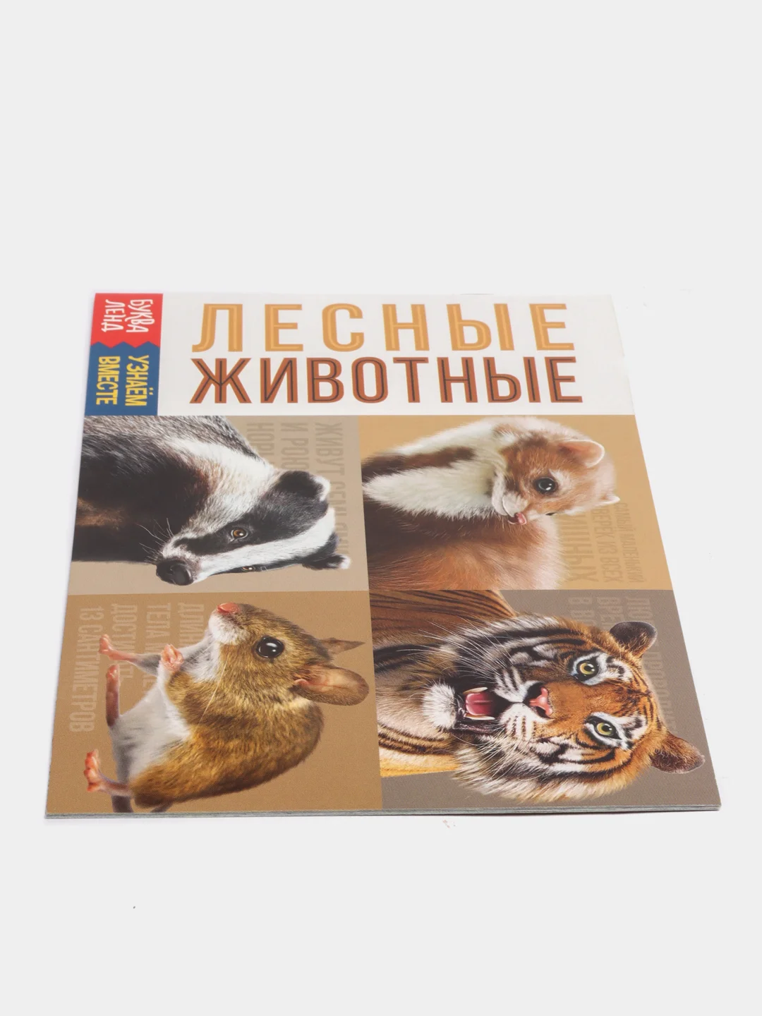 Обучающие книги "Про всё на свете" (Окружающий мир)