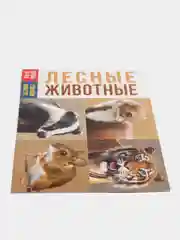 Обучающие книги "Про всё на свете" (Окружающий мир)